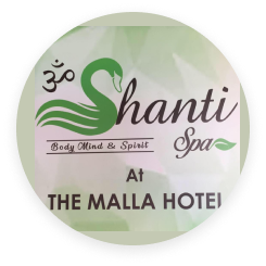 Shanti Spa & Wellness - Logo